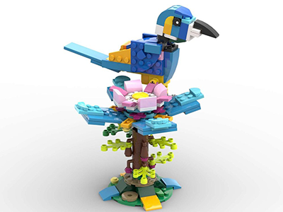 oiseau