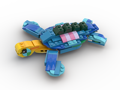 tortue